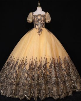 Prom Dress Party Dress Vintage Short Sleeve Open Back Sequin Ball Gown Glitter Quinceanera Dress Long